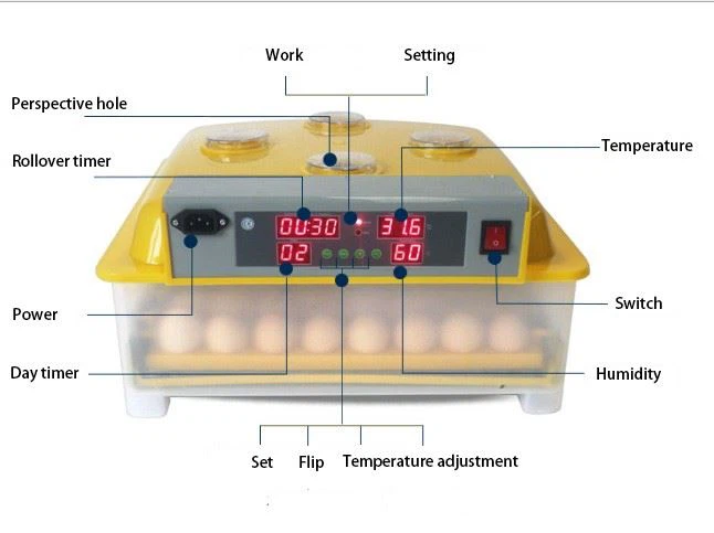 Chicken Incubator