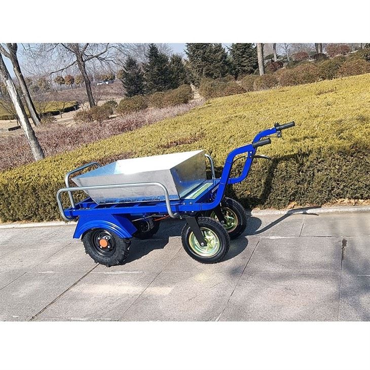 Electric Cart
