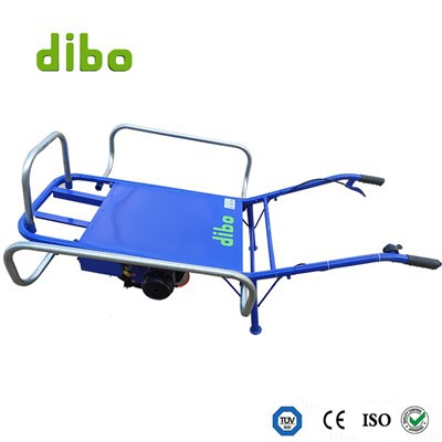 Portable Electric Cart